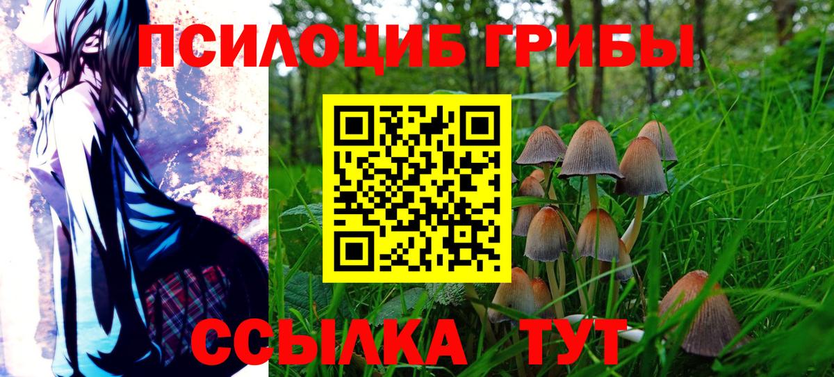 Псилоцибиновые грибы Magic Shrooms Междуреченск