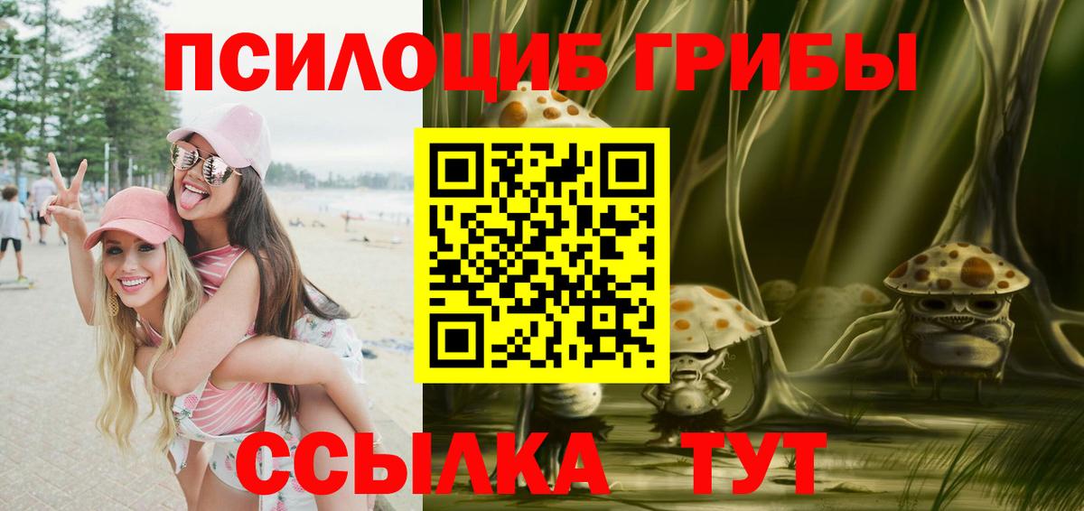Междуреченск  Псилоцибиновые грибы Cubensis  Вход с VPN 
